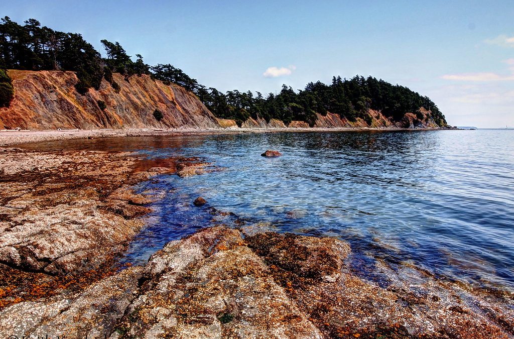 Sucia Island Adventures: From Marine Life to Paleontological Treasures