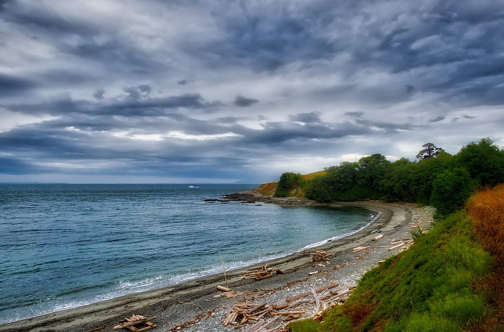 Exploring the San Juan Islands: A Guide to Small-Ship Cruises from Bellingham