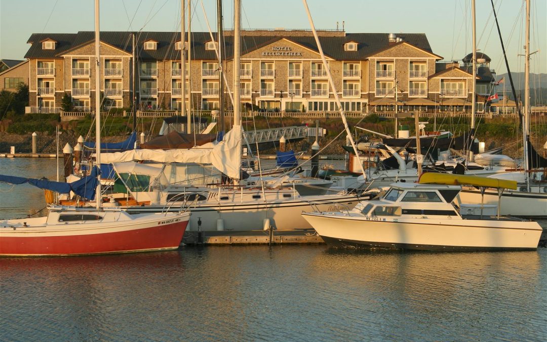 Discover Fall’s Beauty at Squalicum Harbor and Marine Park in Bellingham